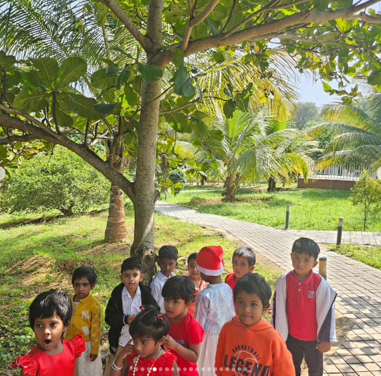 Outdoor play